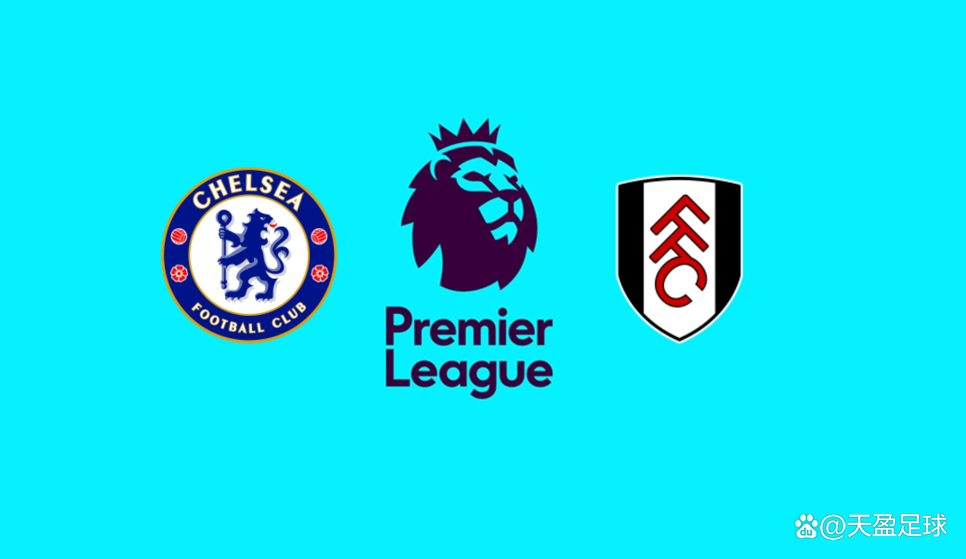 萨尔19+6 奇才战胜篮网